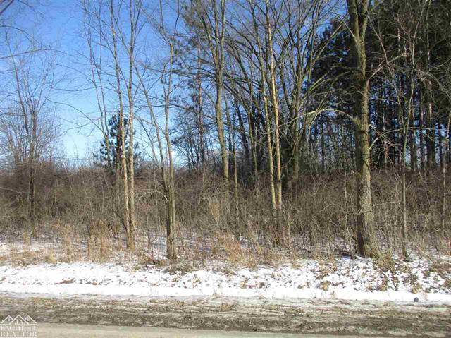 China Twp, MI 48054,VACANT STARVILLE