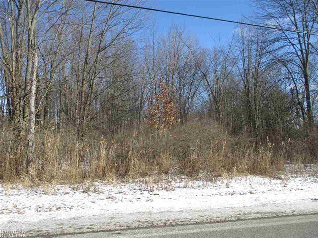 China Twp, MI 48054,VACANT STARVILLE