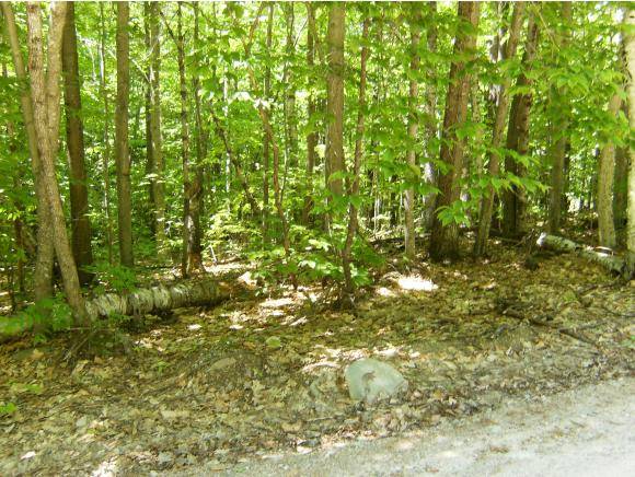 Wakefield, NH 03872,Lot #45 David DR