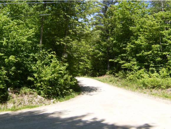 Wakefield, NH 03872,Lot #45 David DR