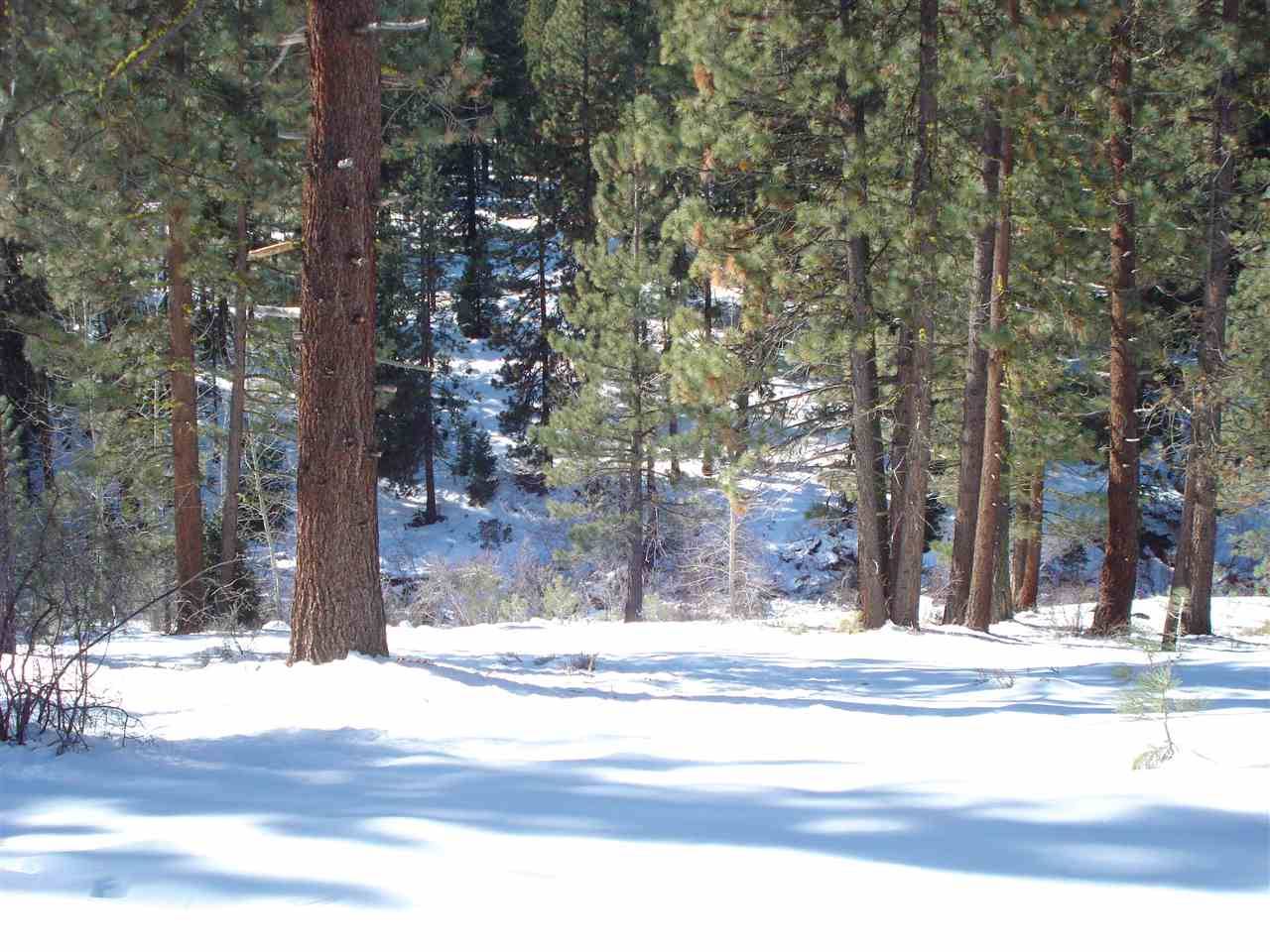 Portola, CA 96122,301 Big Grizzly Road