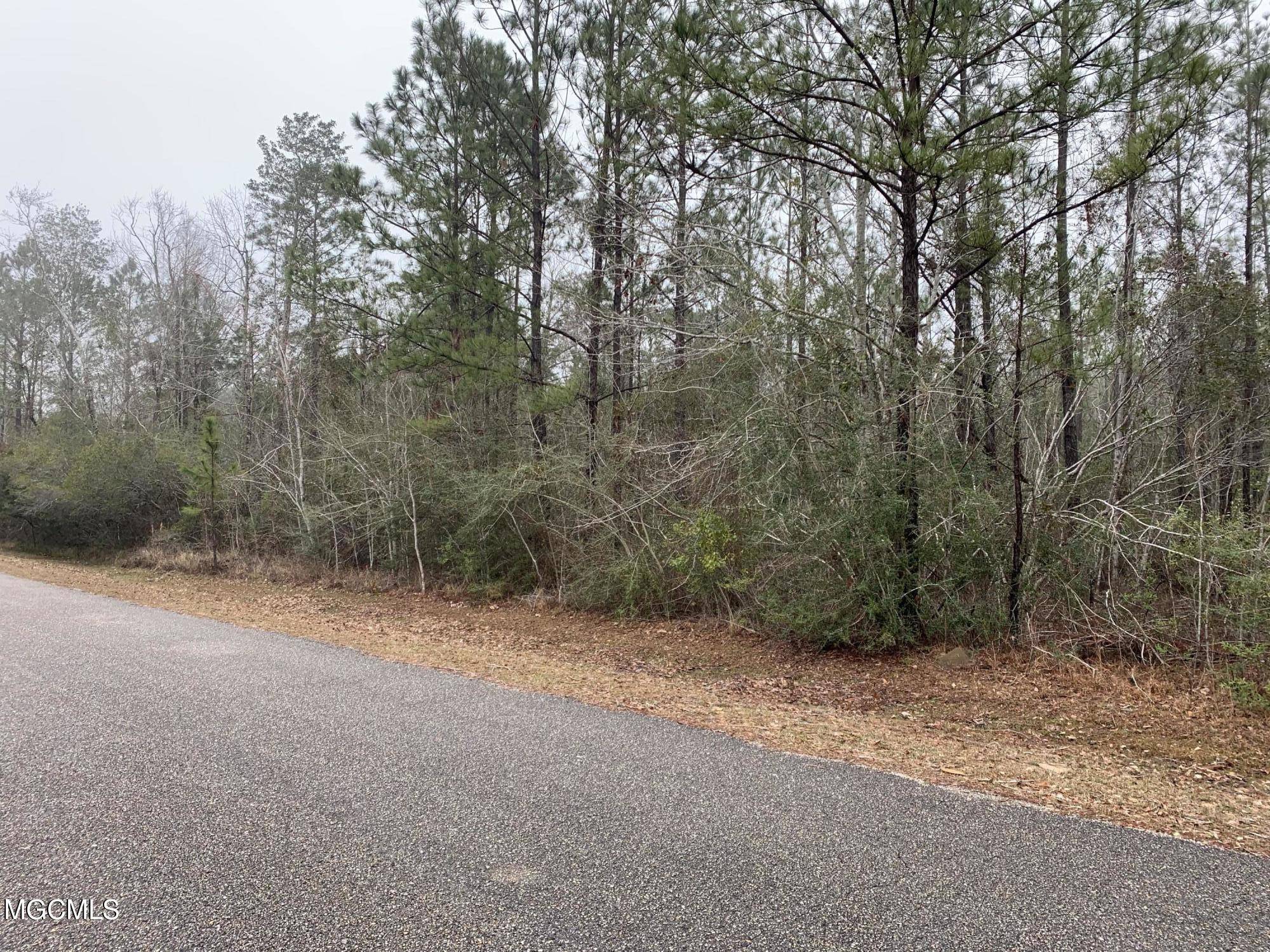 Pass Christian, MS 39571,3.5 Acres Heritage Dr