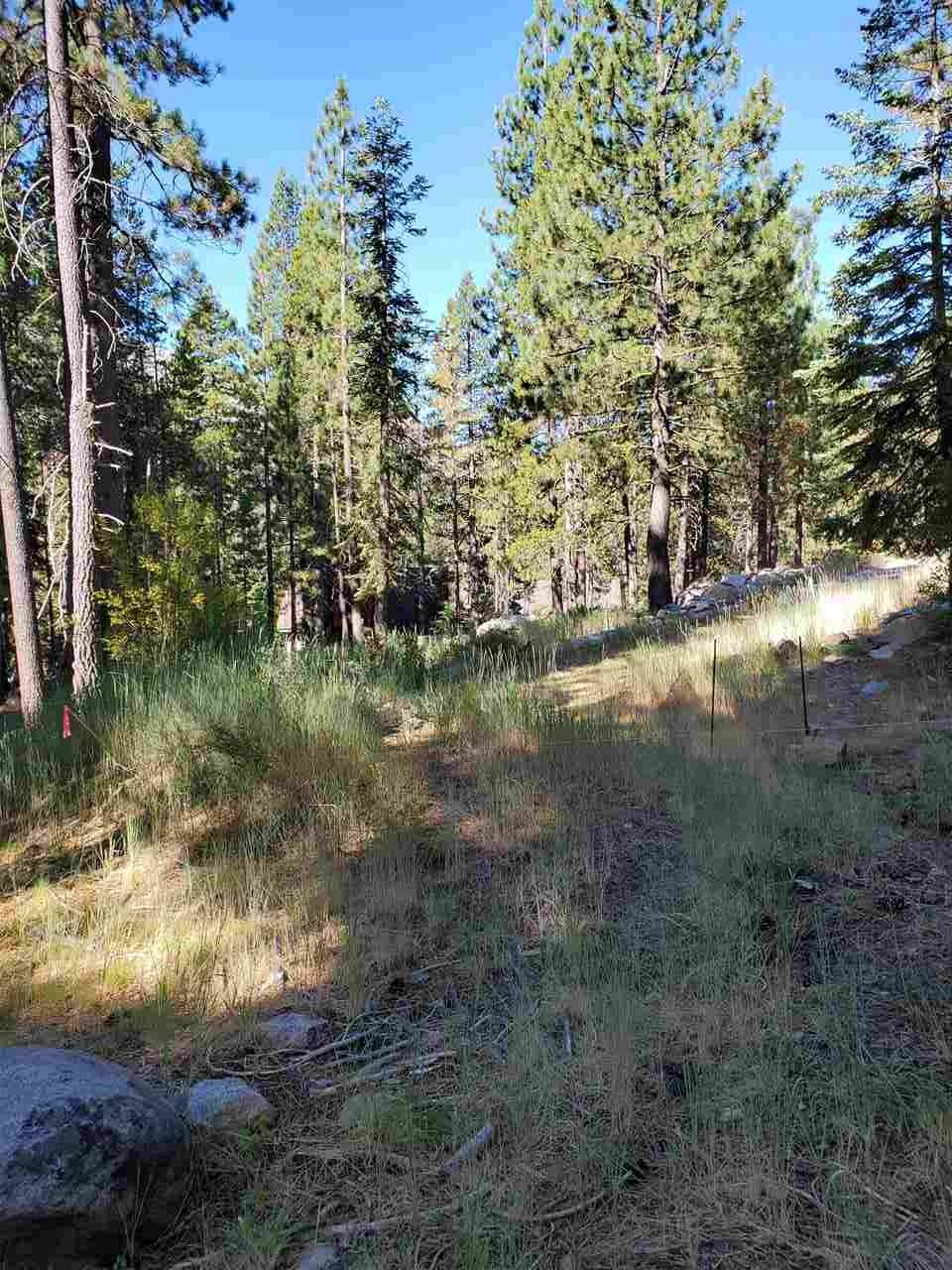 Truckee, CA 96161,16516 Jebs Court