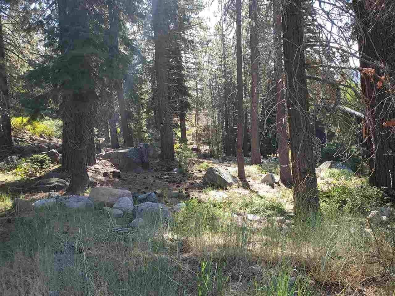 Truckee, CA 96161,16516 Jebs Court