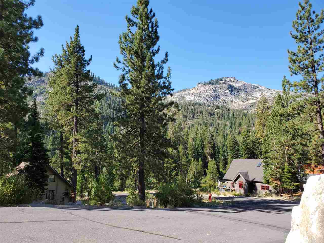 Truckee, CA 96161,16516 Jebs Court