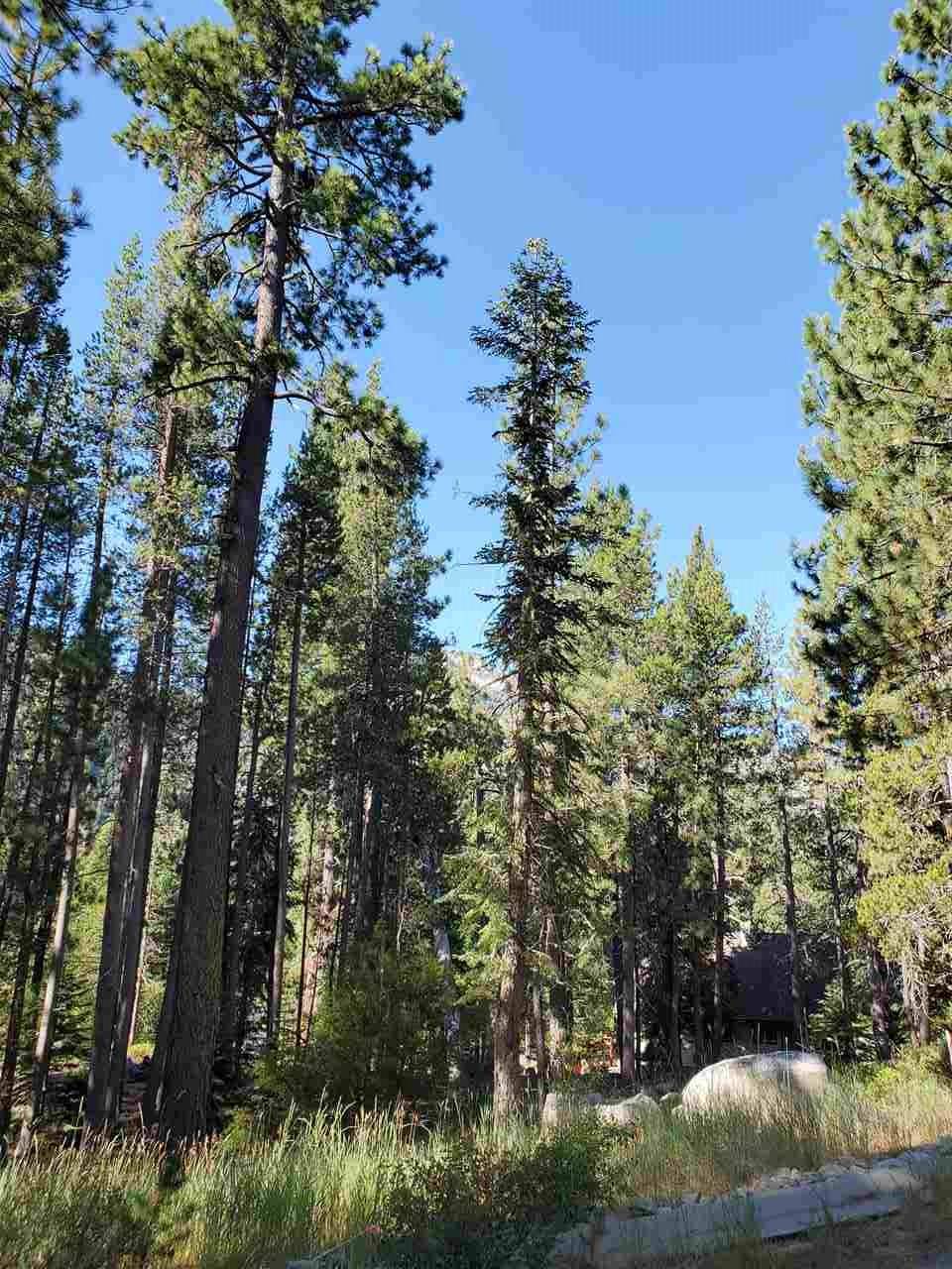 Truckee, CA 96161,16516 Jebs Court