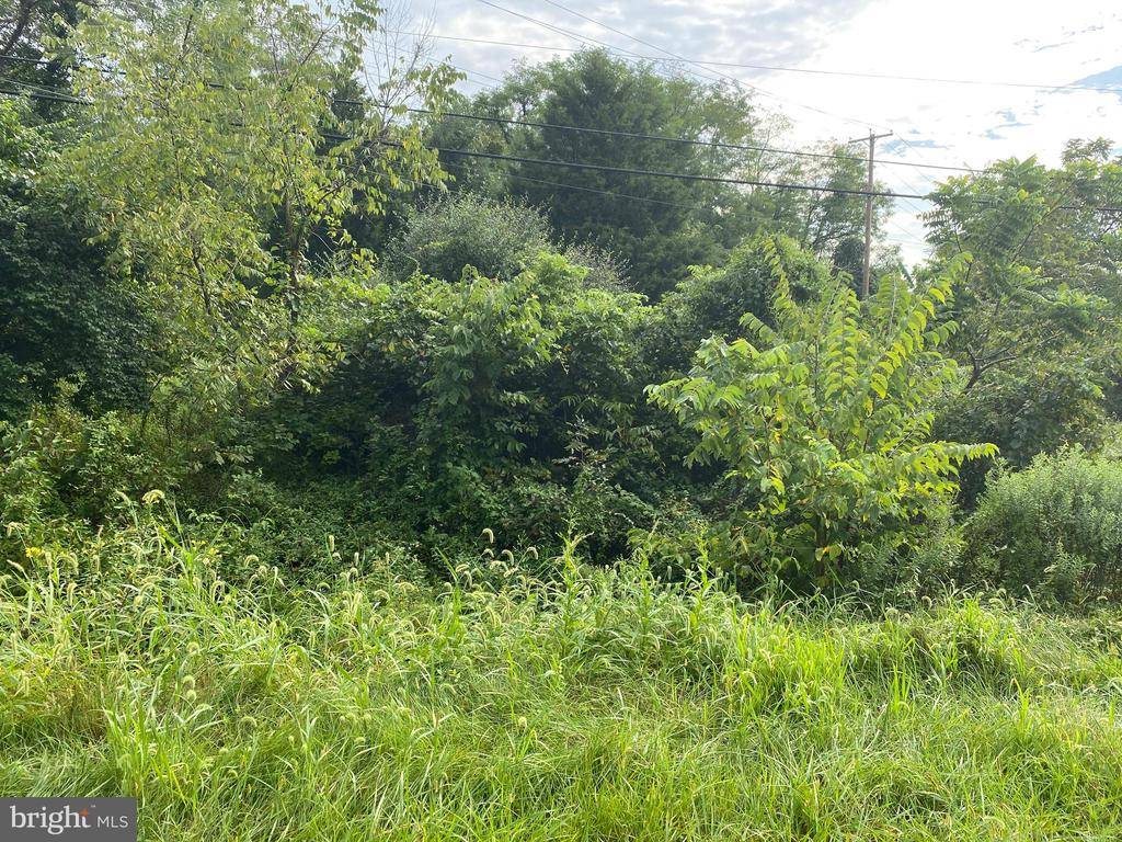 Wellsville, PA 17365,LOT 3 OLD YORK RD