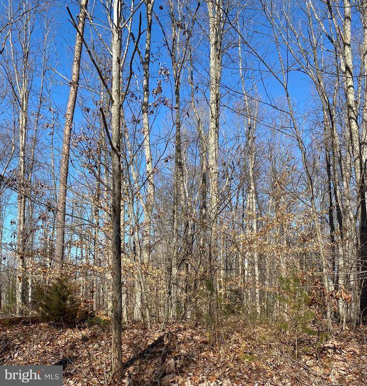 Midland, VA 22728,LOT 6 BRISTERSBURG RD