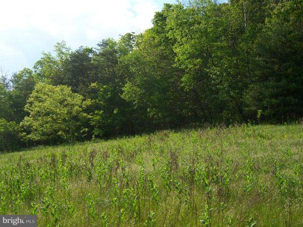 Berkeley Springs, WV 25411,3000 MESNER ROAD