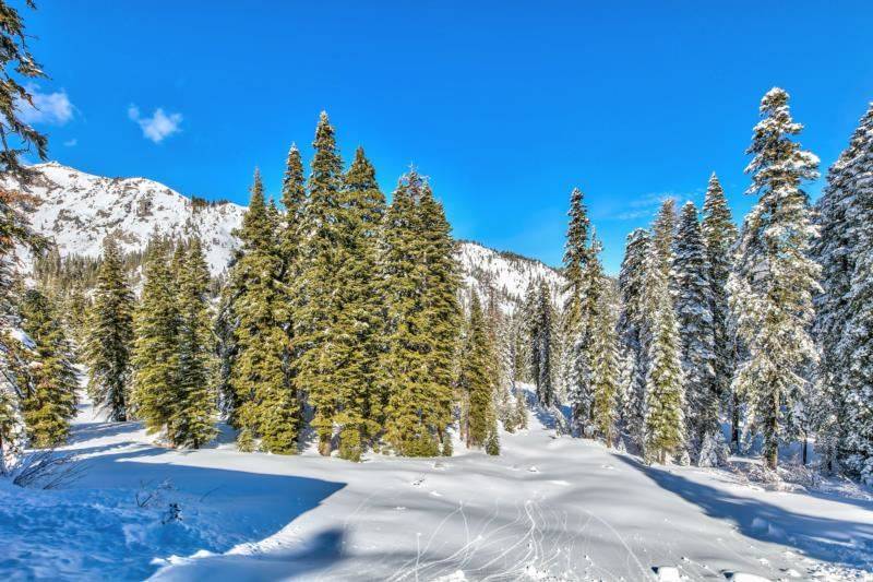 Alpine Meadows, CA 96146,2090 Chalet Road #22