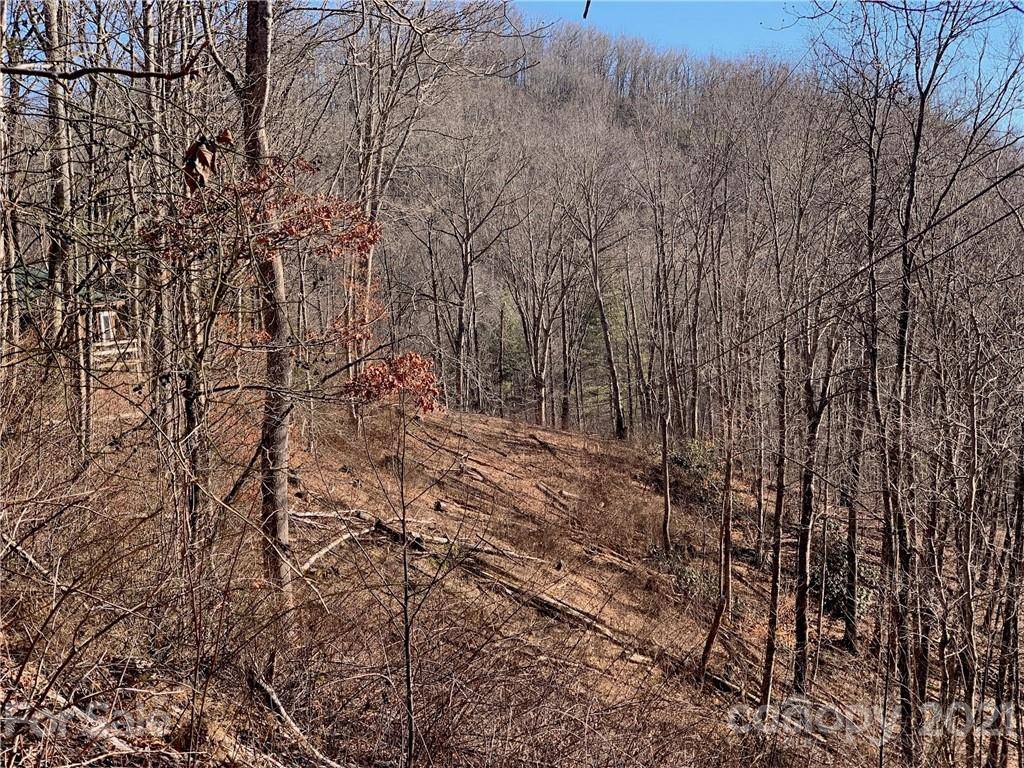 Sylva, NC 28779,000 Parris Branch Road