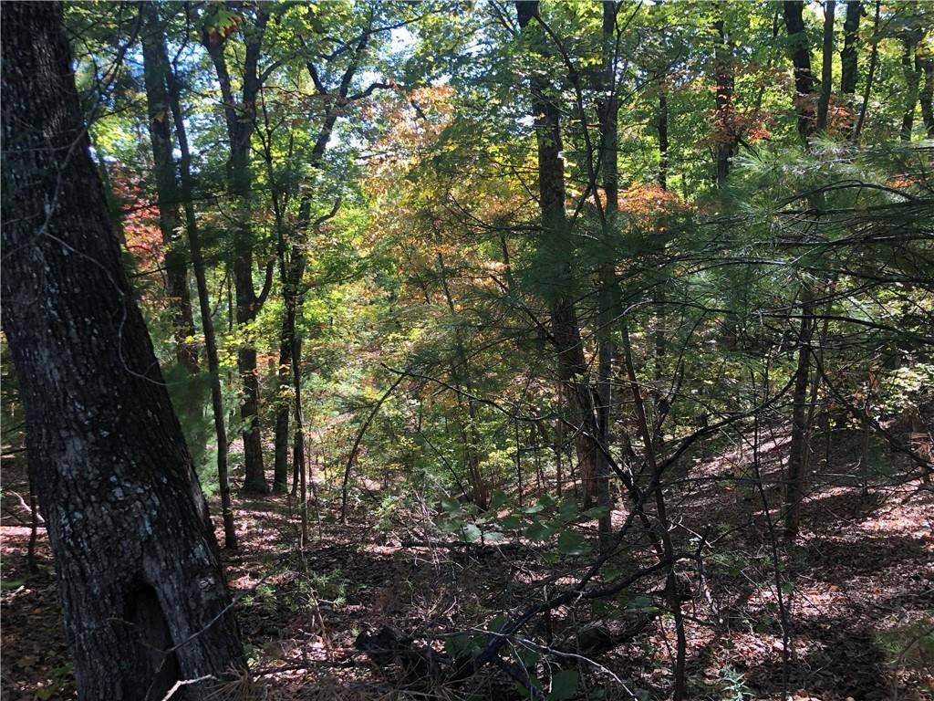 Big Canoe, GA 30143,3343 Wildcat TRL