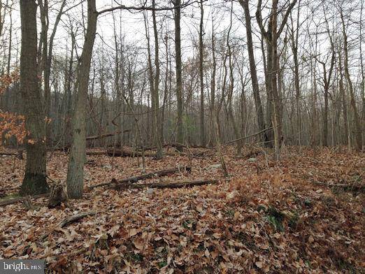 Mount Holly Springs, PA 17065,102 (LOT 2) RIDGE RD