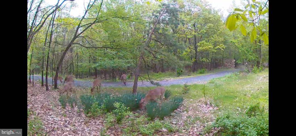 Mount Holly Springs, PA 17065,102 (LOT 2) RIDGE RD