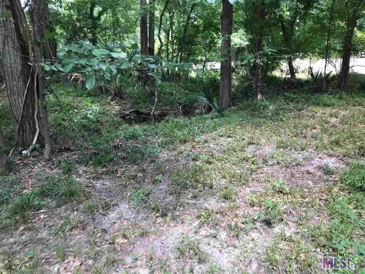 Prairieville, LA 70769,Lot 1 BLUFF RD