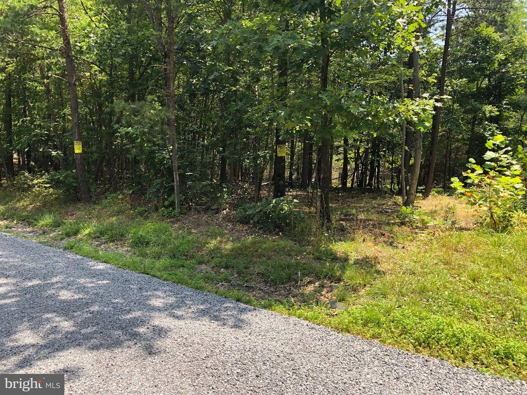 Lebanon Church, VA 22641,#14 MILE RIDGE ESTATES, LOT 14