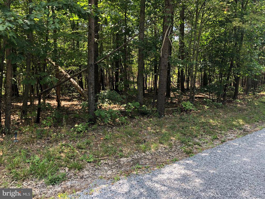 Lebanon Church, VA 22641,#14 MILE RIDGE ESTATES, LOT 14