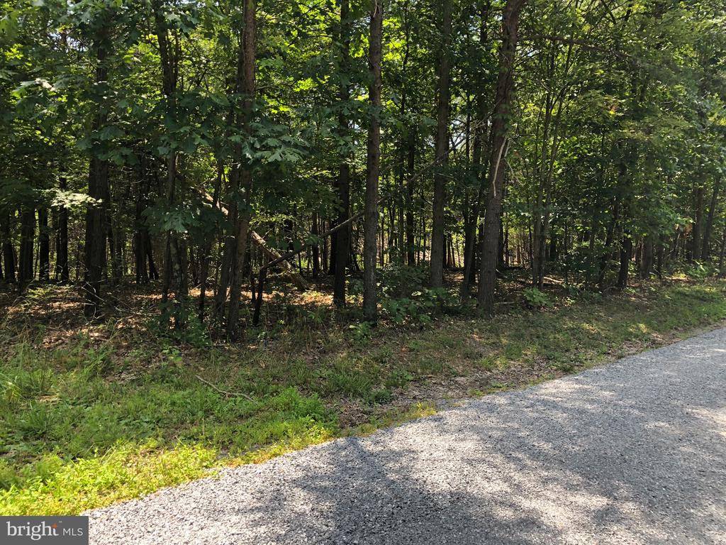 Lebanon Church, VA 22641,#14 MILE RIDGE ESTATES, LOT 14