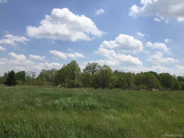 Iosco Twp, MI 48836,0 ADELINES (Lot 11) WAY