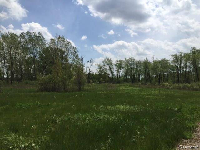 Iosco Twp, MI 48836,0 ADELINES (Lot 9) WAY