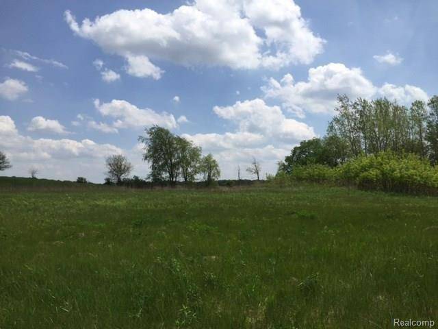 Iosco Twp, MI 48836,0 ADELINES (Lot 8) WAY