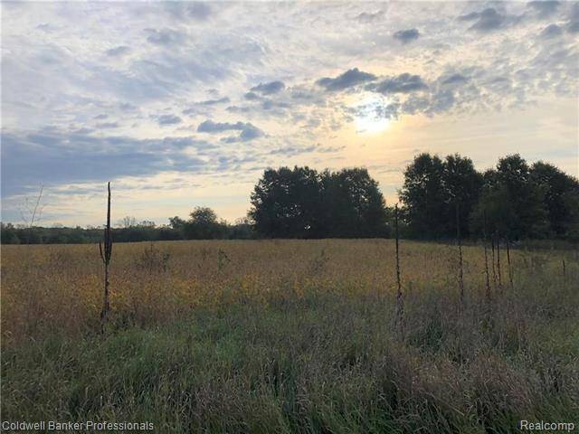 Cohoctah Twp, MI 48836,PARCEL A ANTCLIFF RD