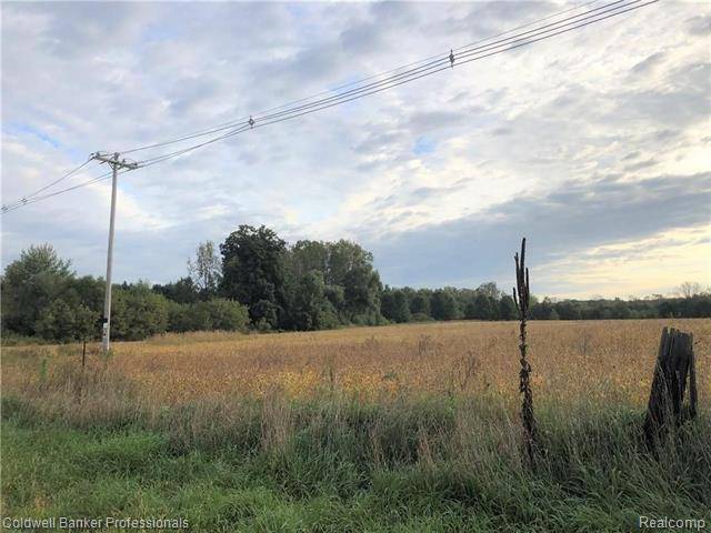 Cohoctah Twp, MI 48836,PARCEL B ANTCLIFF RD