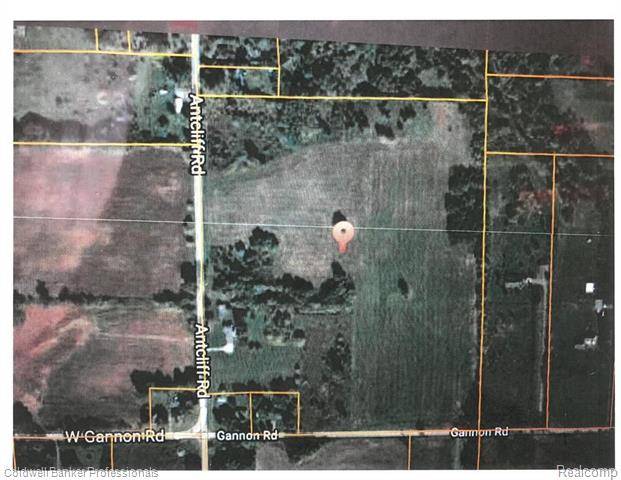 Cohoctah Twp, MI 48836,PARCEL B ANTCLIFF RD