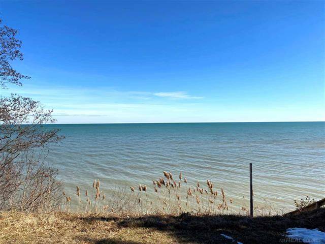 Carsonville, MI 48419,1159 S LAKESHORE