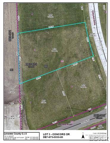 Deerfield Twp, MI 49238,LOT 3 CONCORD DR