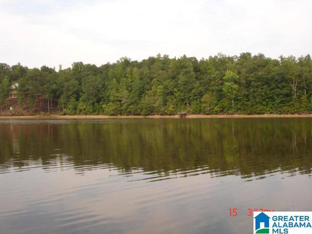 Wedowee, AL 36278,CEDAR VALLEY DRIVE #5