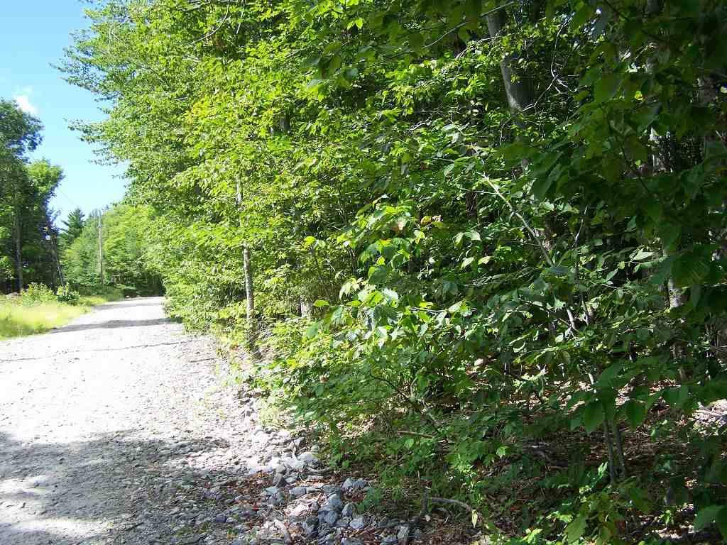 Groton, NH 03241,Bailey Hill RD #Lot #23