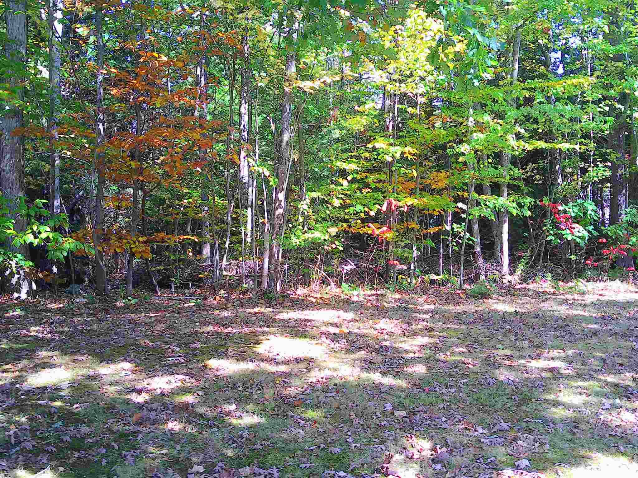 Barnstead, NH 03225,Lot 61A Colony DR