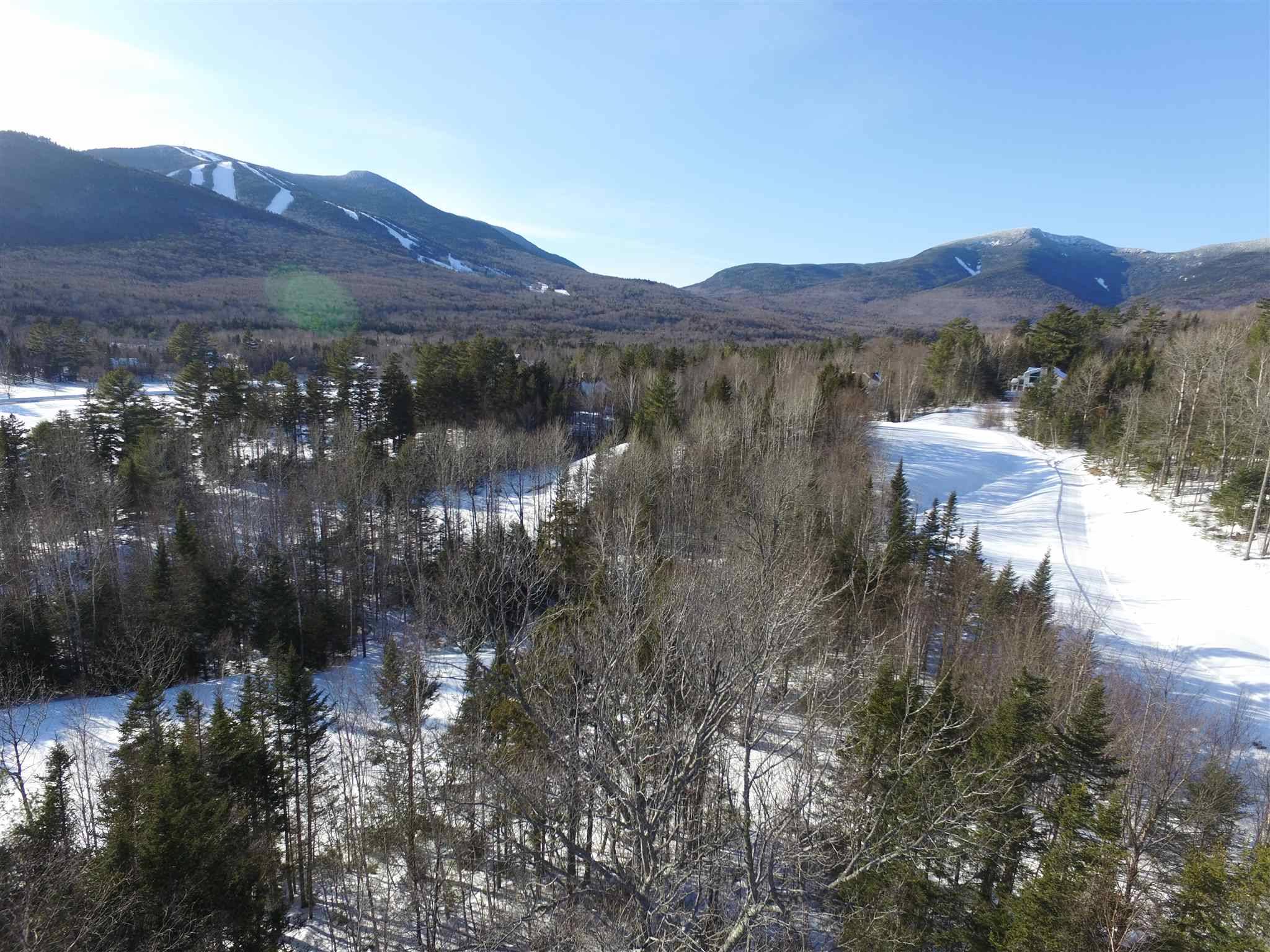 Waterville Valley, NH 03215,33 Lost Pass RD #10