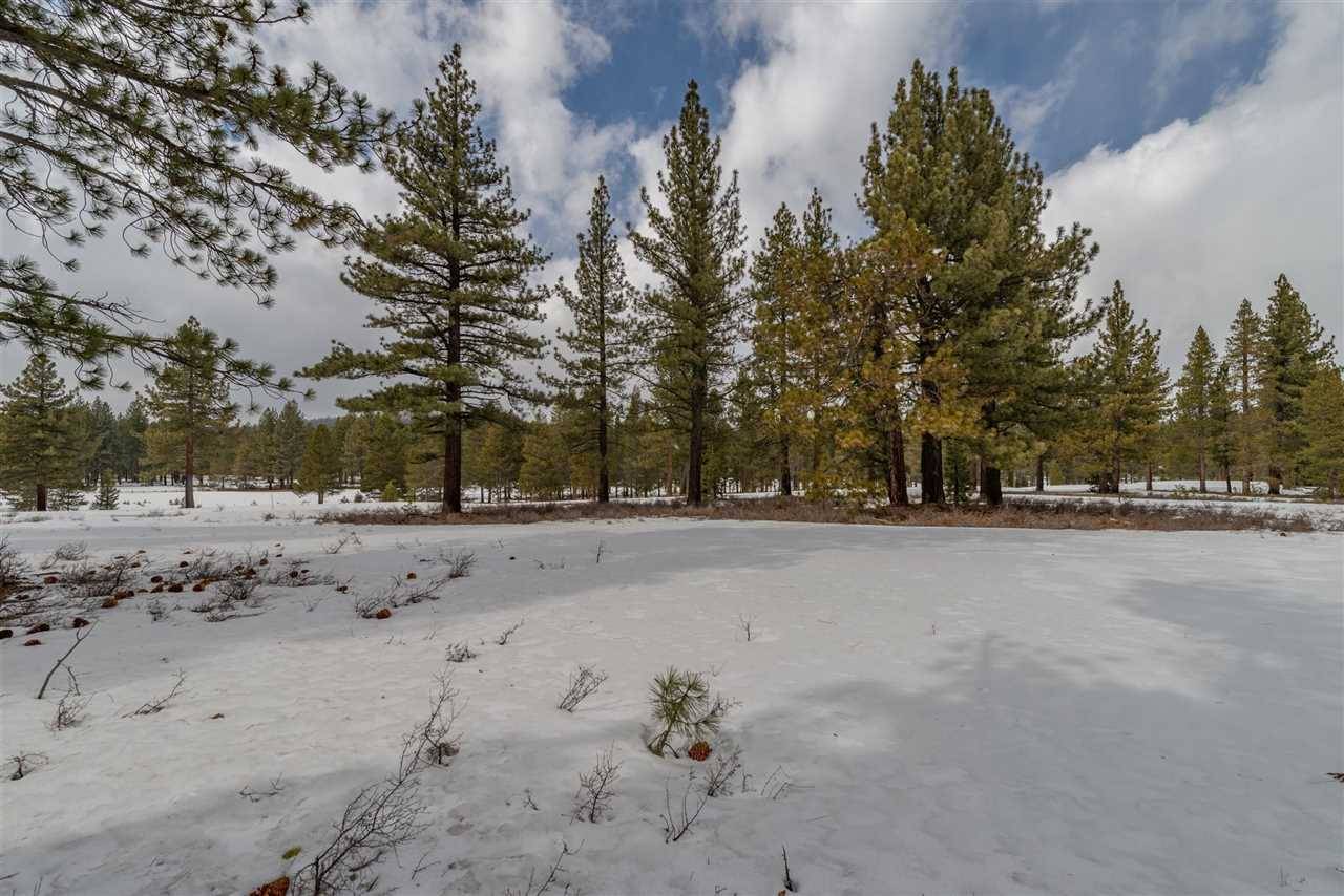 Truckee, CA 96161,11639 Henness Road