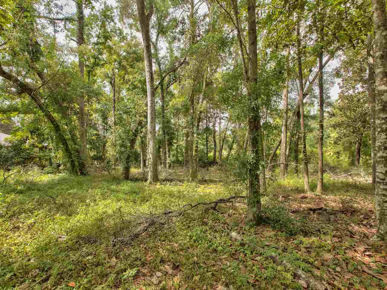 Havana, FL 32333,Lot 60 Yvonne Court