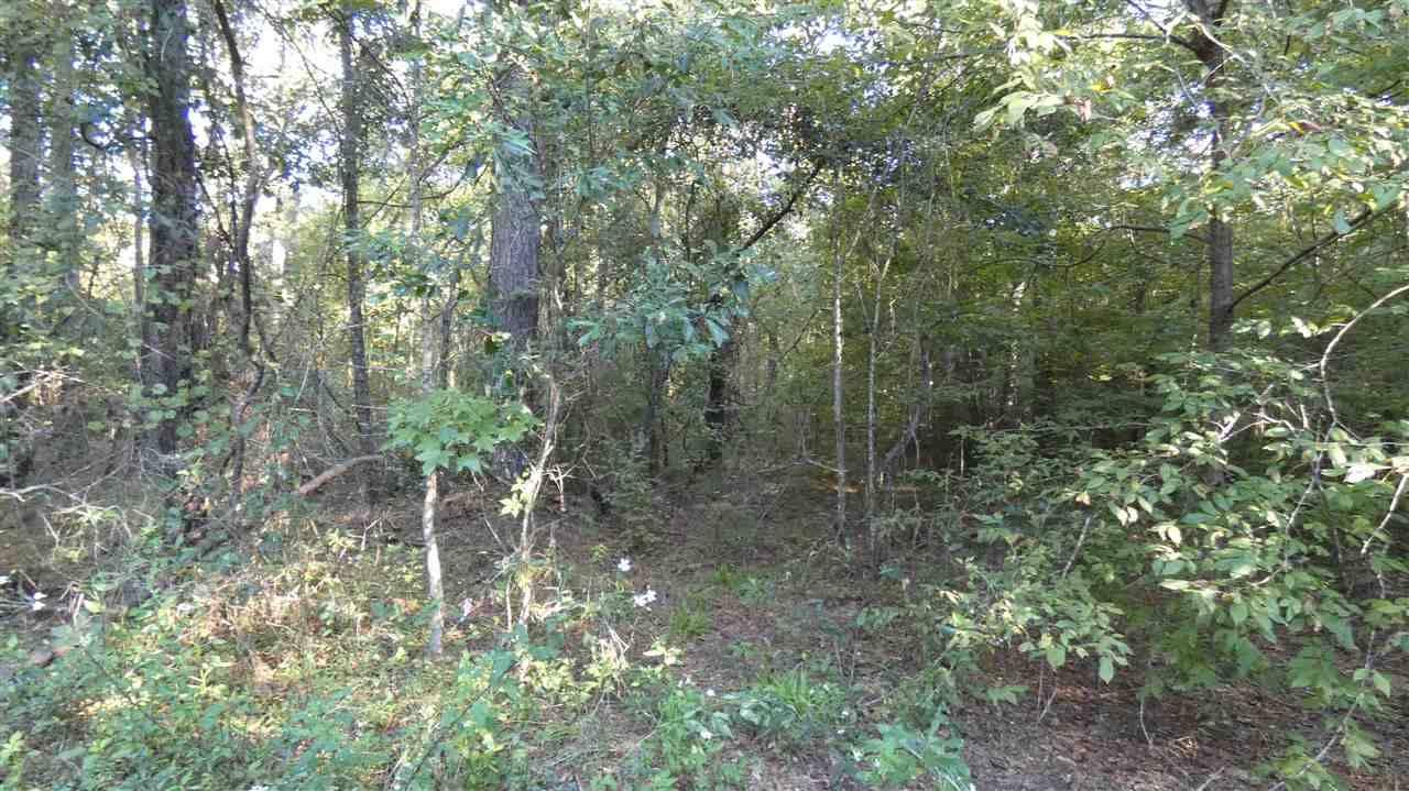 Greenville, FL 32331,TBD E 11th Court