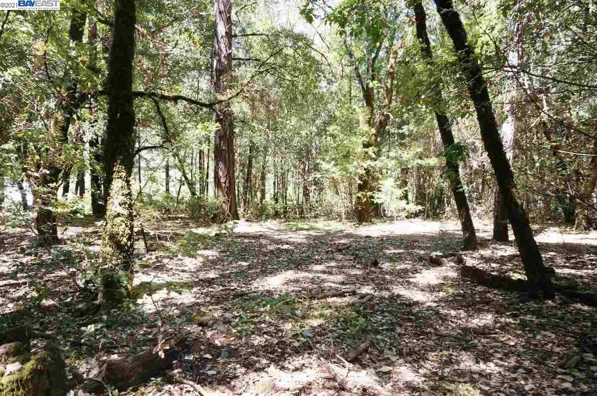 Burnt Ranch, CA 95527,4271 State Highway 299 Rd