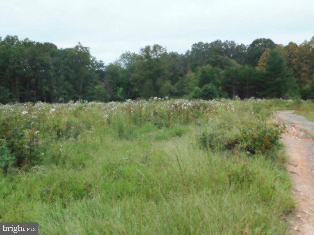 Rhoadesville, VA 22542,LOT 8H BELLEWOOD ACRES LN