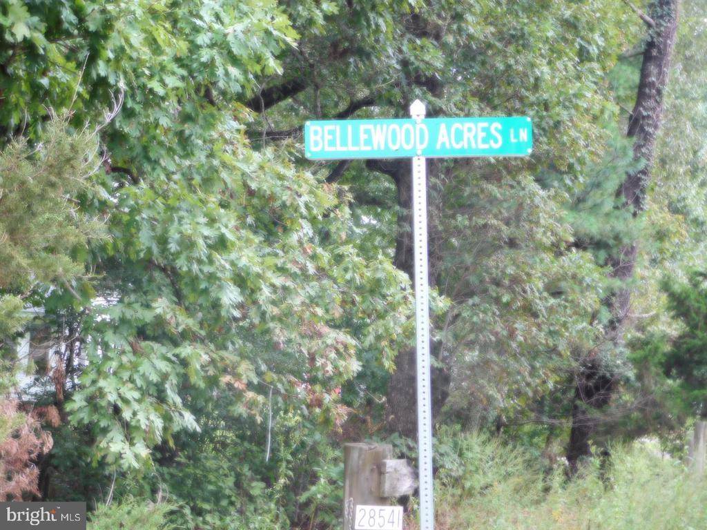 Rhoadesville, VA 22542,LOT 8H BELLEWOOD ACRES LN