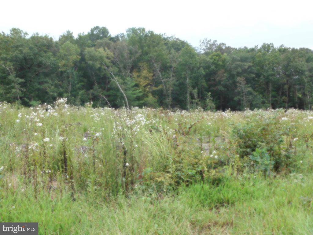 Rhoadesville, VA 22542,LOT 8H BELLEWOOD ACRES LN