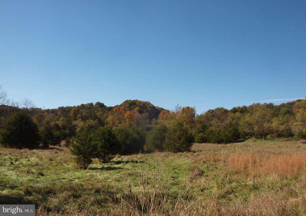 Upper Tract, WV 26866,24.9AC SOUTH MILL CREEK