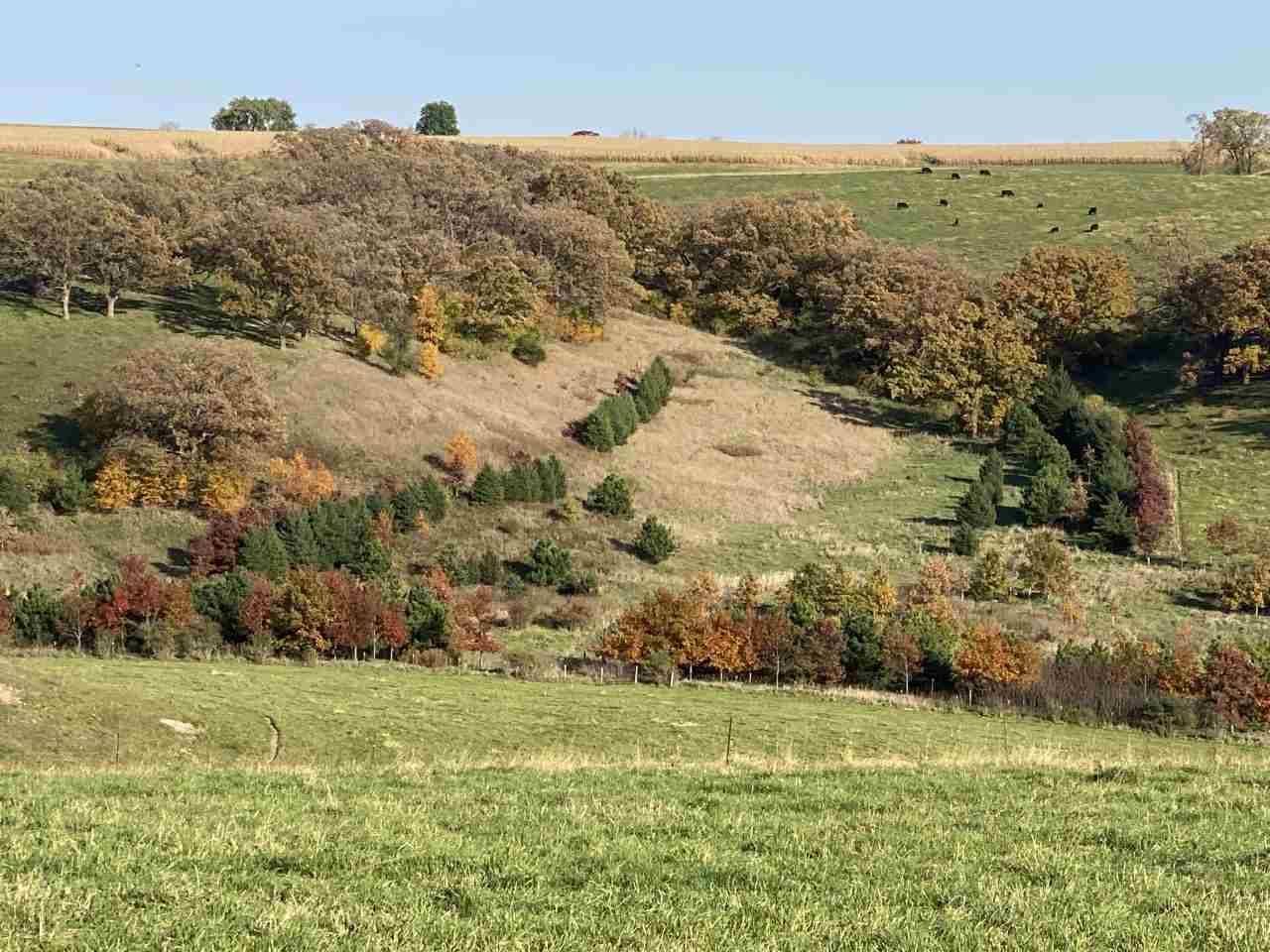 Mineral Point, WI 53565,137 +/- Ac S Oak Park Rd