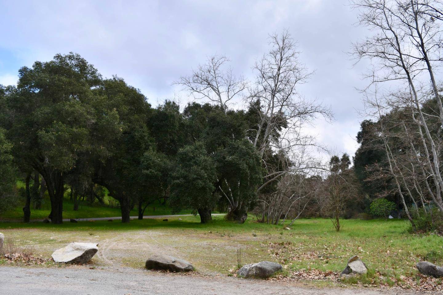 Carmel Valley, CA 93924,000 Corner of Nason and Cachagua RD