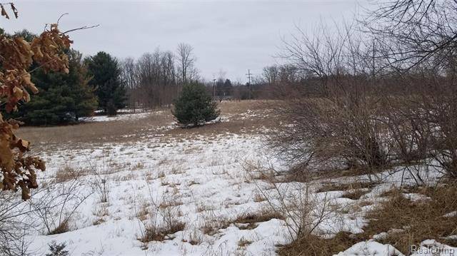 Hartland Twp, MI 48353,Parcel 2 DUNHAM RD