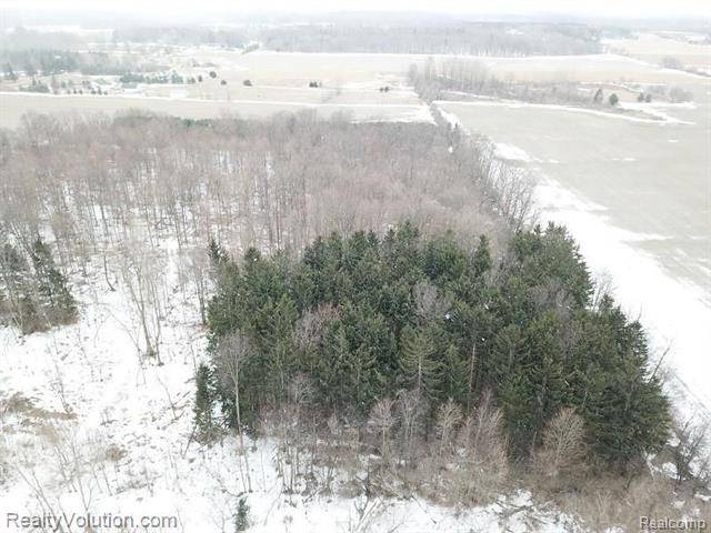 North Branch Twp, MI 48461,10 Acres WILLIS RD