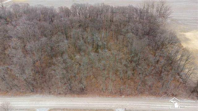 Ida Twp, MI 49270,00 WELLS RD - PARCEL 2