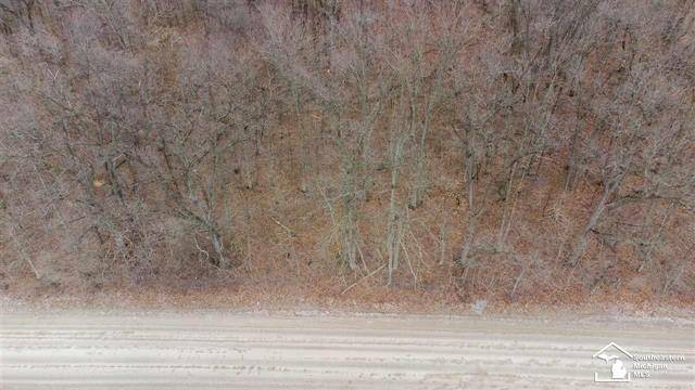 Ida Twp, MI 49270,00 WELLS RD - PARCEL 2