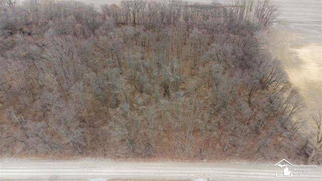 Ida Twp, MI 49270,00 WELLS RD - PARCEL 2