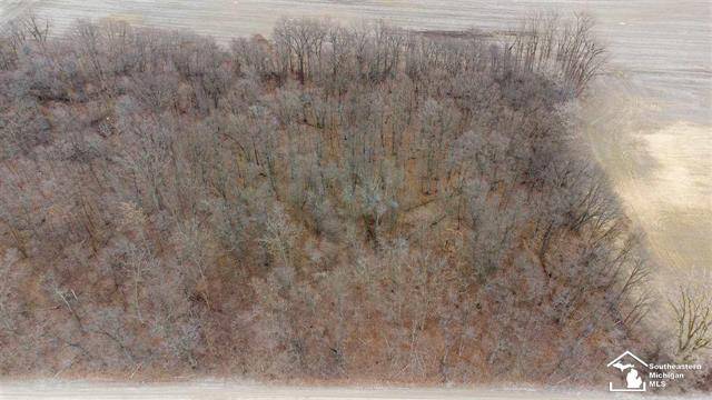 Ida Twp, MI 49270,00 WELLS RD - PARCEL 2